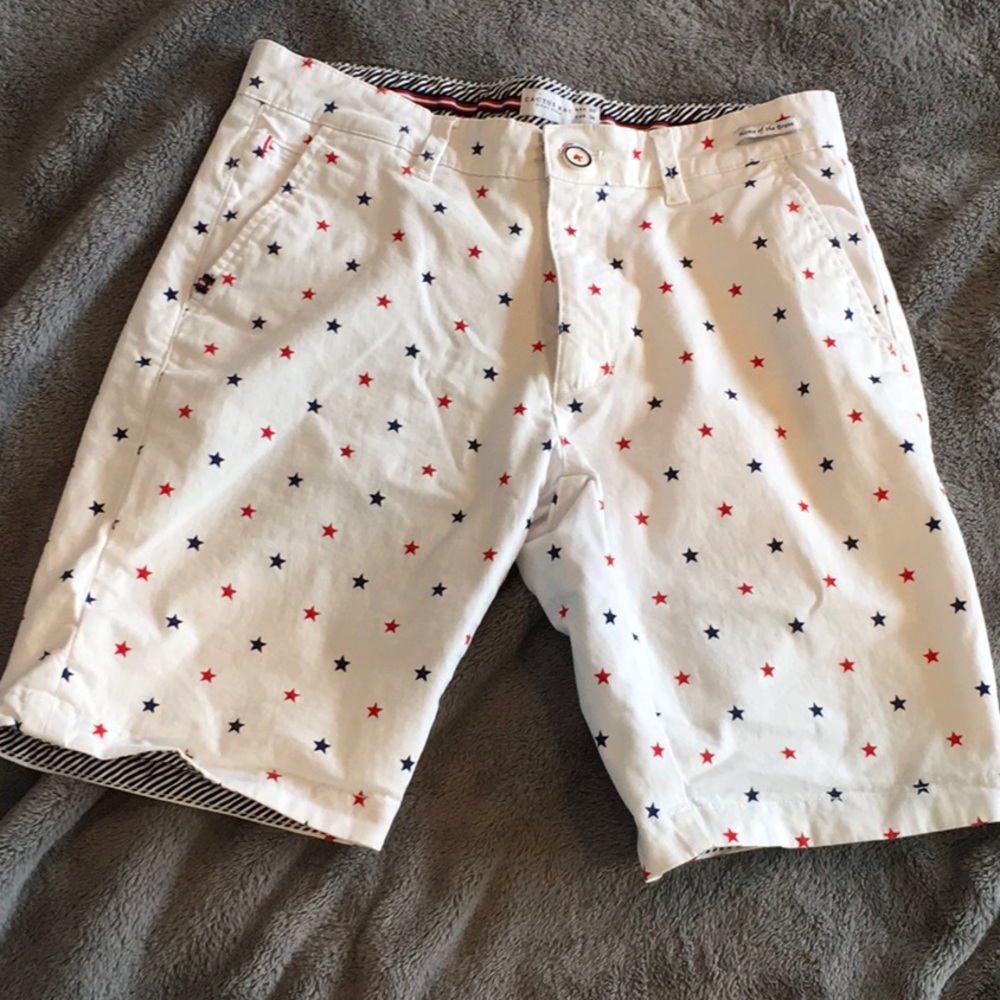 Cactus Man Ricky Singh Mens red white and blue shorts 29
